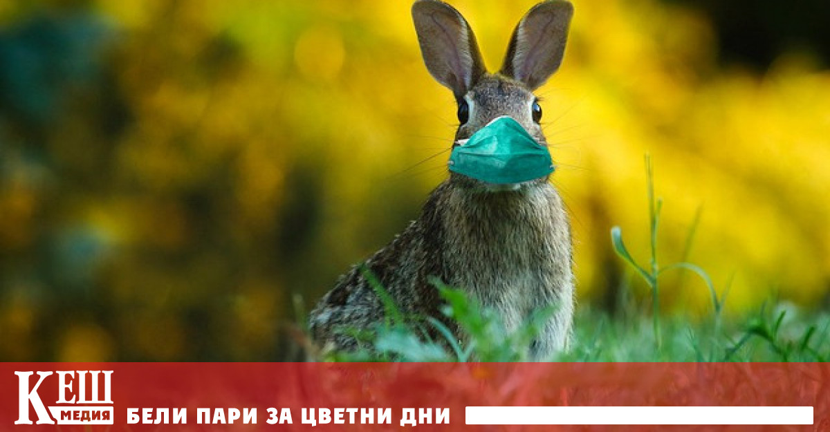 Решението е взето след като темата беше детайлно обсъждана в