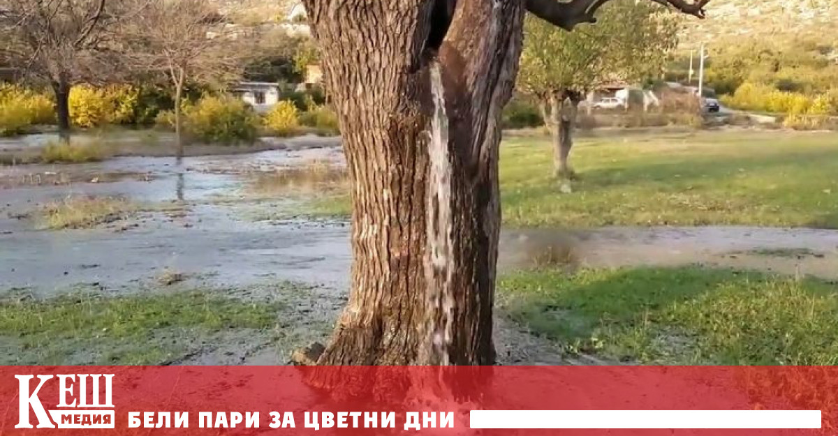 За пътешественика който цени всичко естествено и прекрасно пътуването през