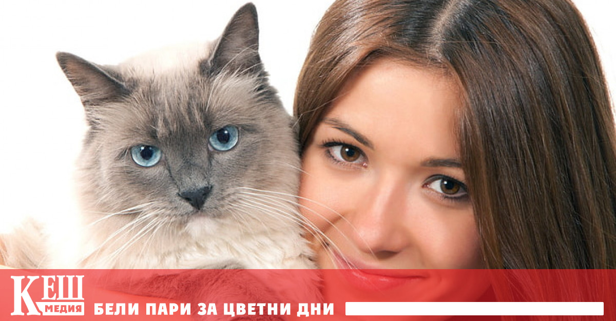 Американски учени се доближиха до създаването на хипоалергенни котки като