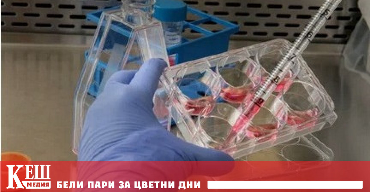 Изследователи съобщиха за нов метод за производство на материали които