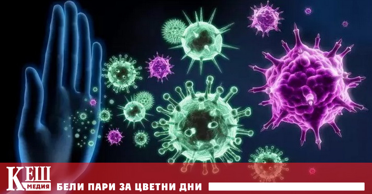 Оказва се че някои видове имунни клетки стражевите или дендритни