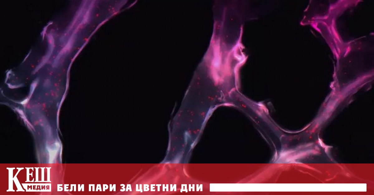 Учени от Университета в Тел Авив създадоха система за доставяне