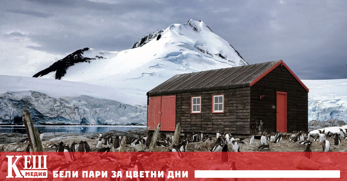 Те ще трябва да прекарат пет месеца на ледения континент