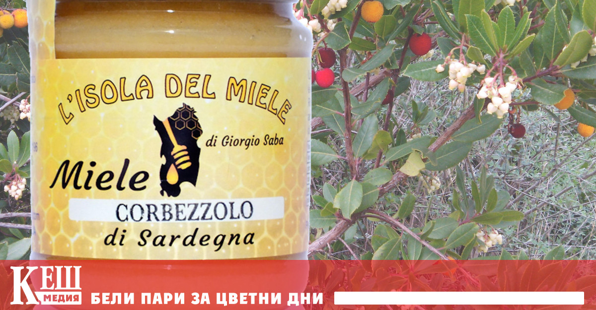 Пчелите го събират в краткия период на есенния цъфтеж на