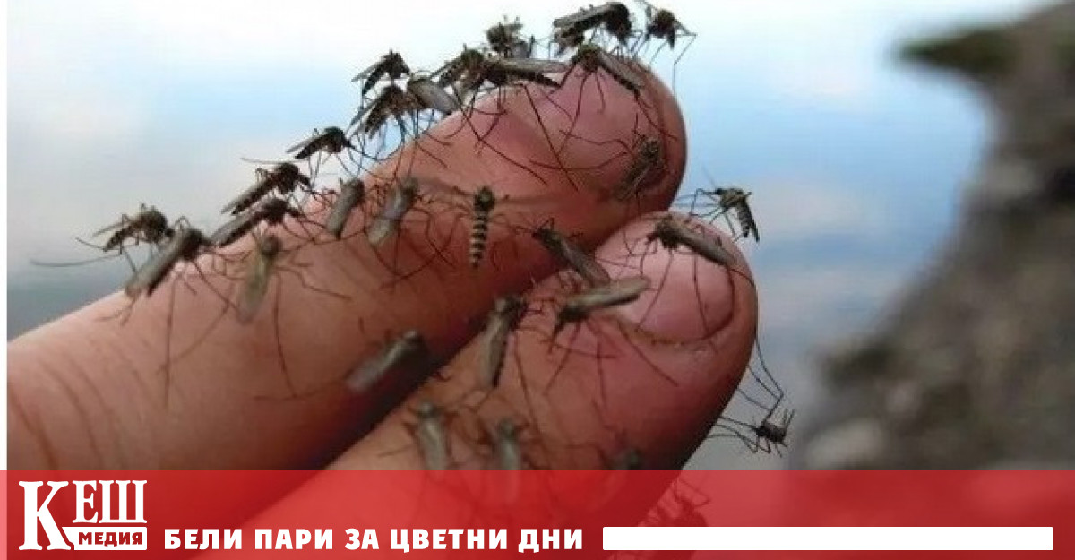 Правителството на САЩ издаде разрешение на щата Калифорния да пусне