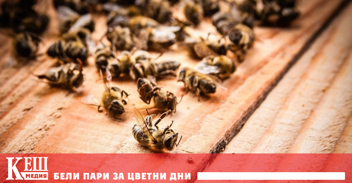 Реалността е такава че ние не оценяваме най важната функция на