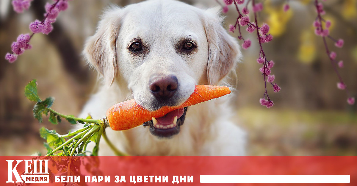 Изричното условие е веганското хранне да бъде пълноценно Здравето на