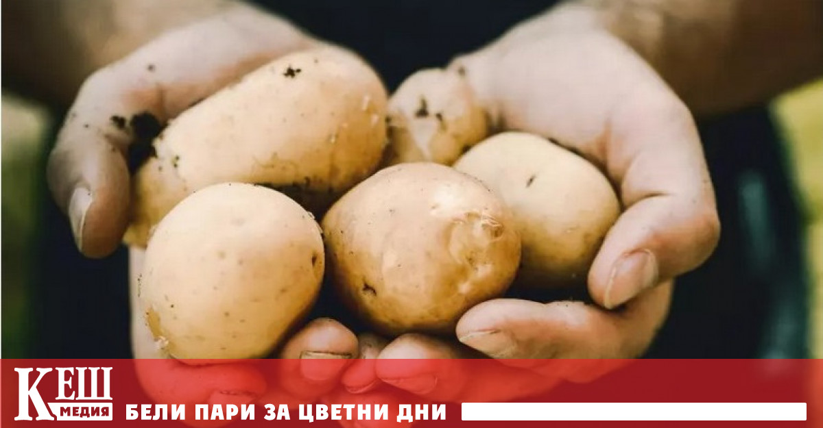 Учени изложиха нова хипотеза според която появата на сложни общества