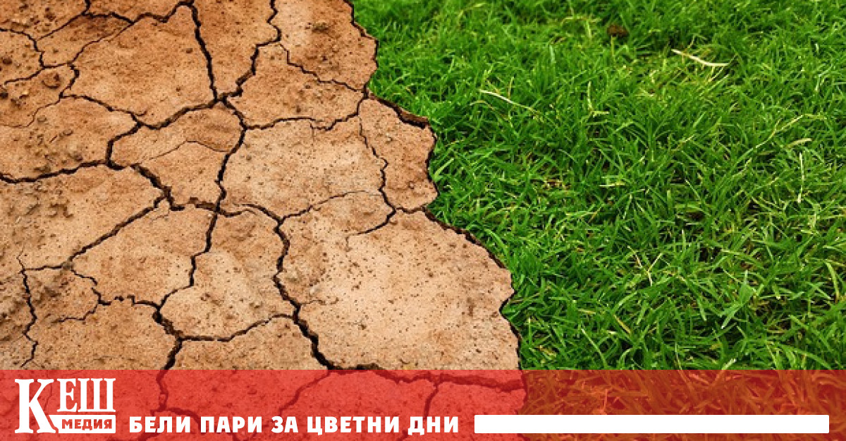 Те считат че тази тенденция е свързана с антропогенното изменение