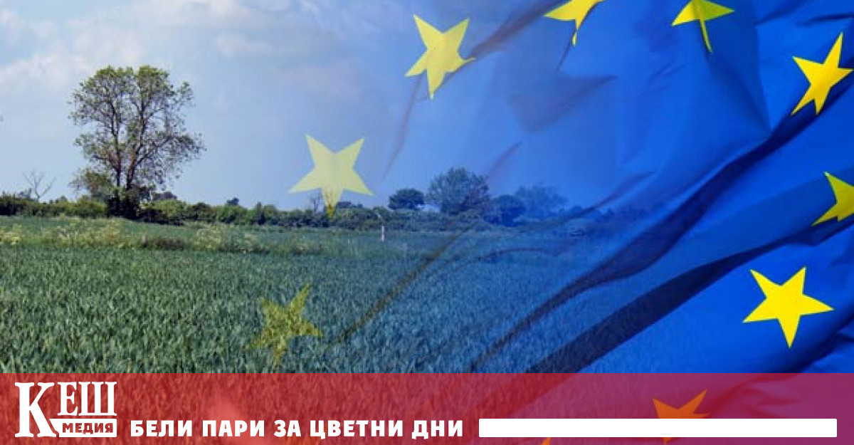 Русия и Украйна осигуряват 29 от световния износ на пшеница