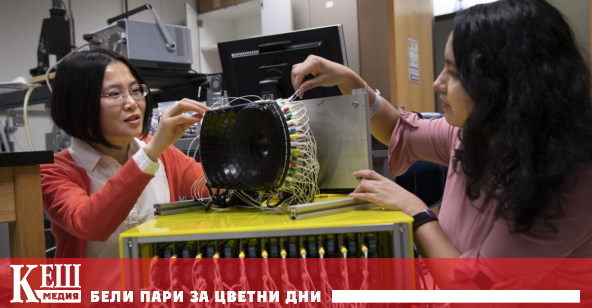 Подходът изглежда е задействал имунната система на мишките която е