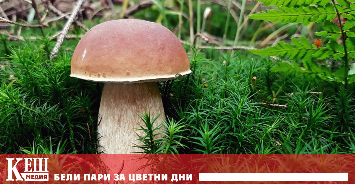 Ново изследване на Неконвенционалната компютърна лаборатория на Университета на Западна