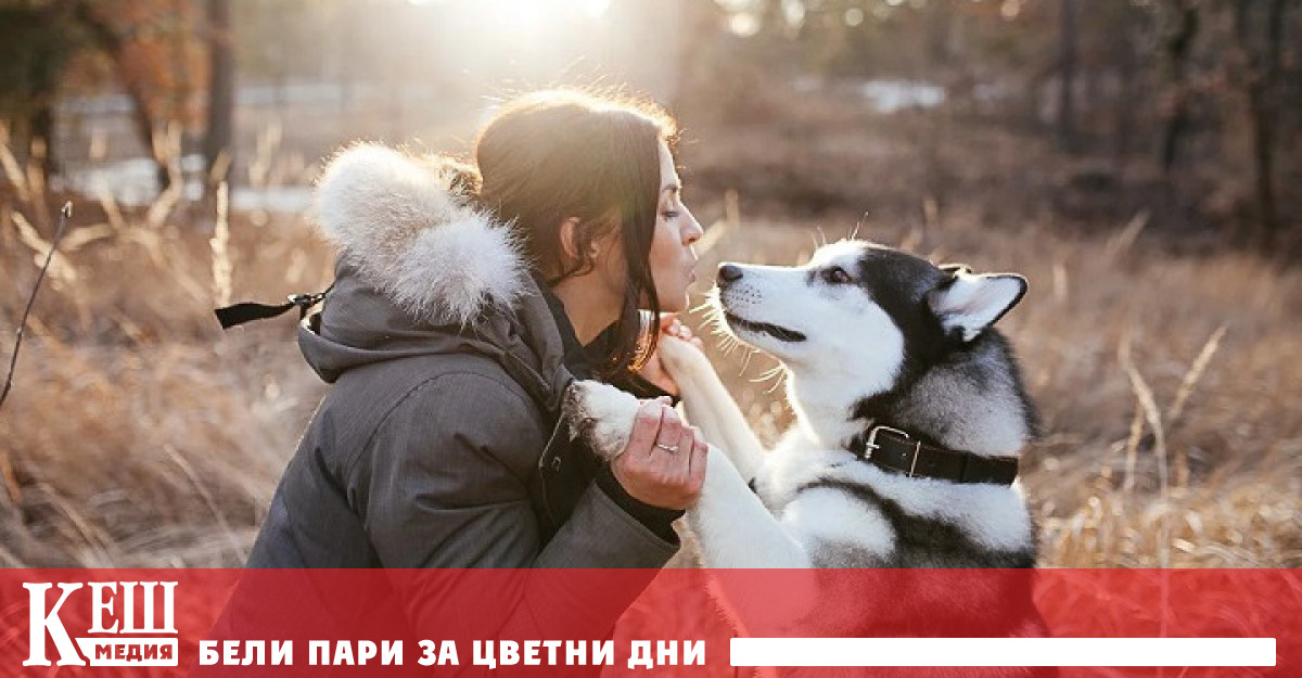 Изследване което се опитва да хвърли светлина върху генетичните промени