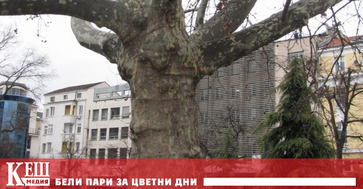 Министърът на околната среда и водите Борислав Сандов обяви три