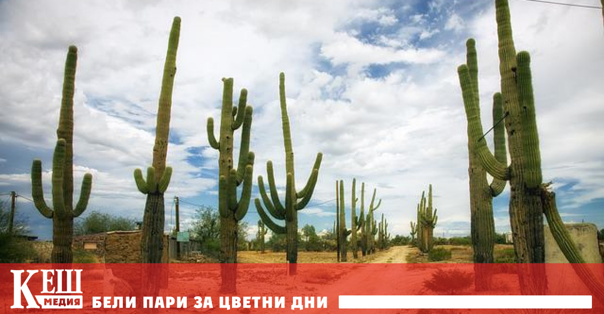 Това показва ново изследване което поставя под въпрос популярните предположения