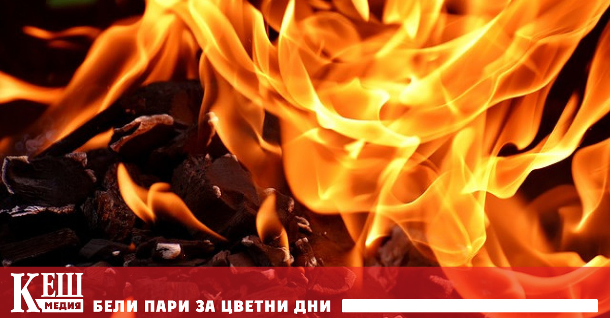 Сътрудници на университетите в Йорк и Дърам са анализирали 50