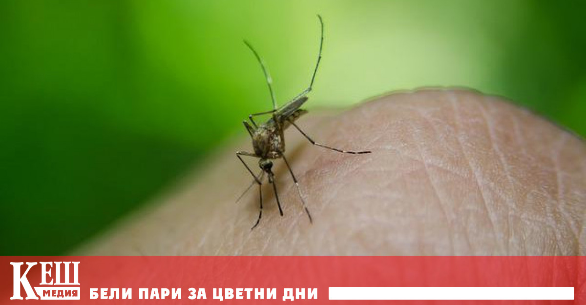 Tова доказва ново откритие на учени от Медицинския център на