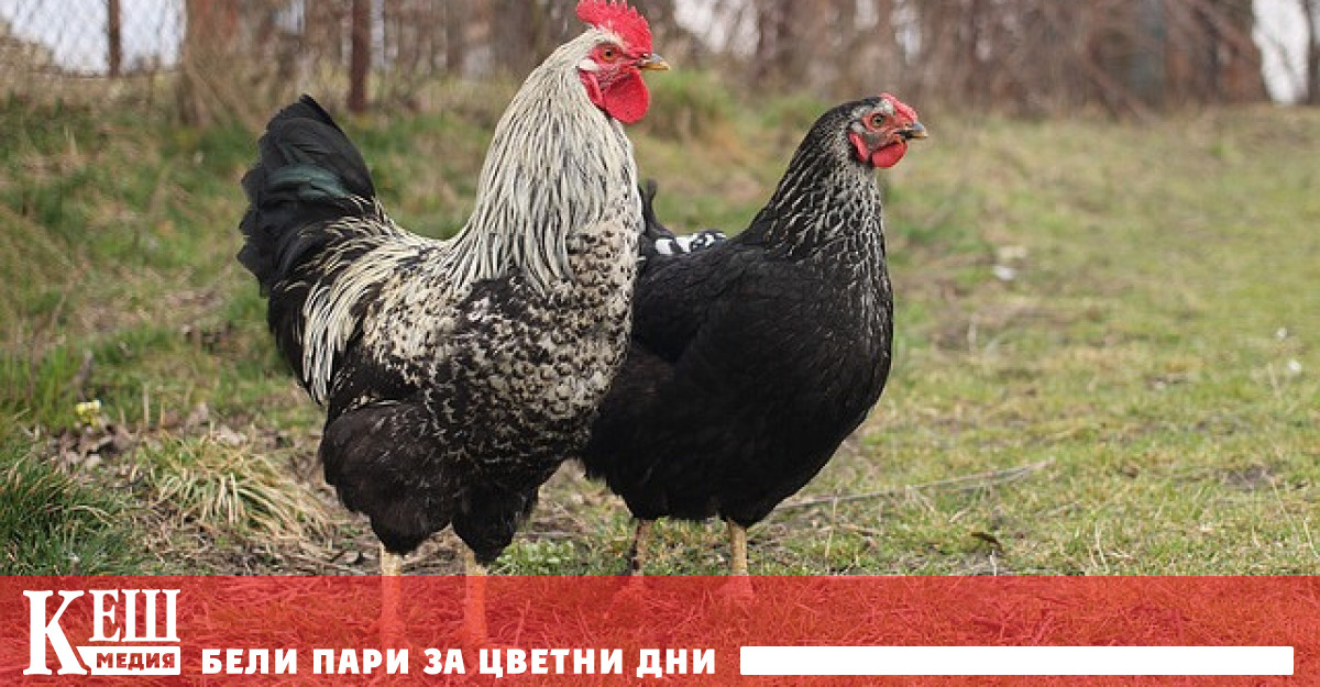 Агенцията се позовава на Националната здравна комисия на Китайската народна