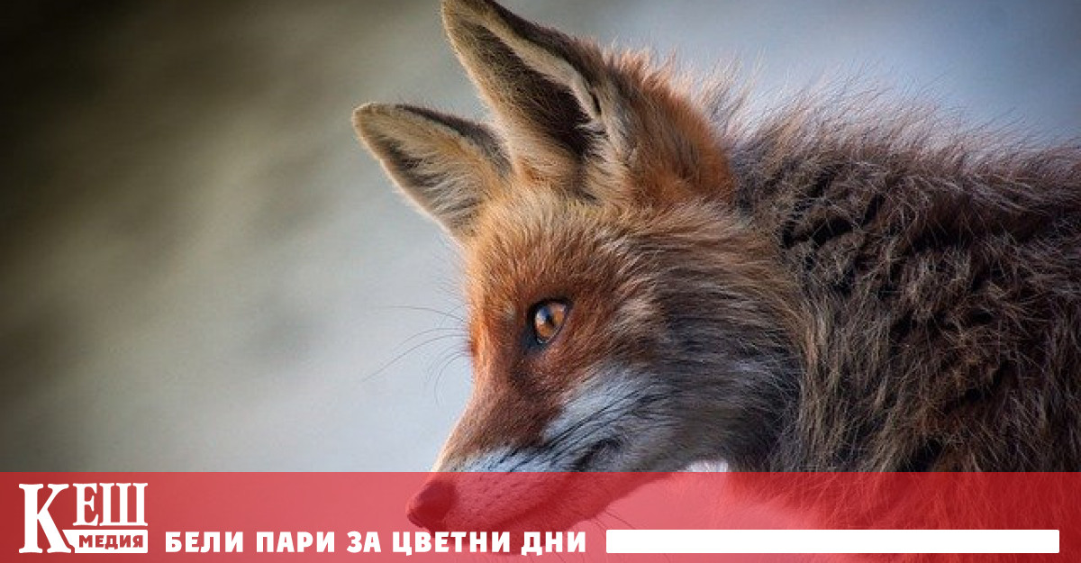 Климатът на Земята се променя и планетата продължава да се