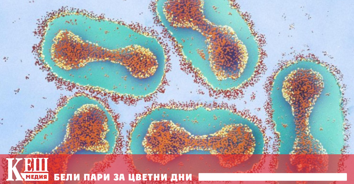 В последно време СЗО непрекъснато алармира за риск от абсолютна