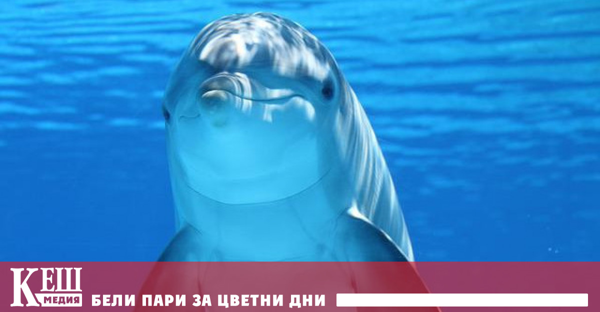 Това се твърди в ново изследване на учени от Ню