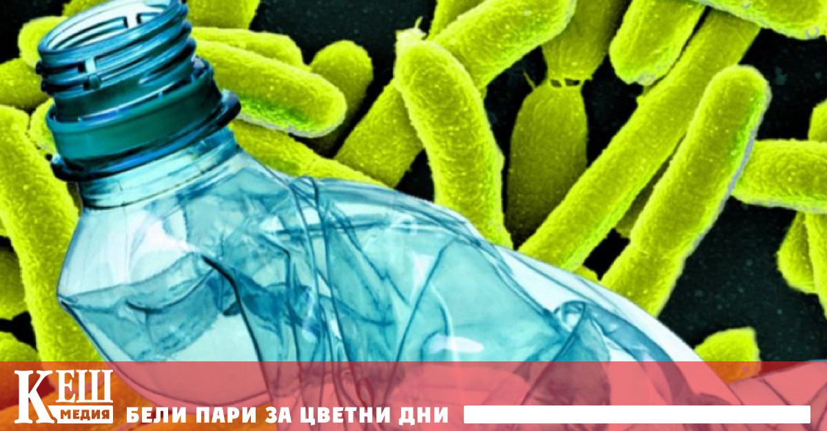 Новият авангарден процес за рециклиране носи безкрайни възможности във всяка