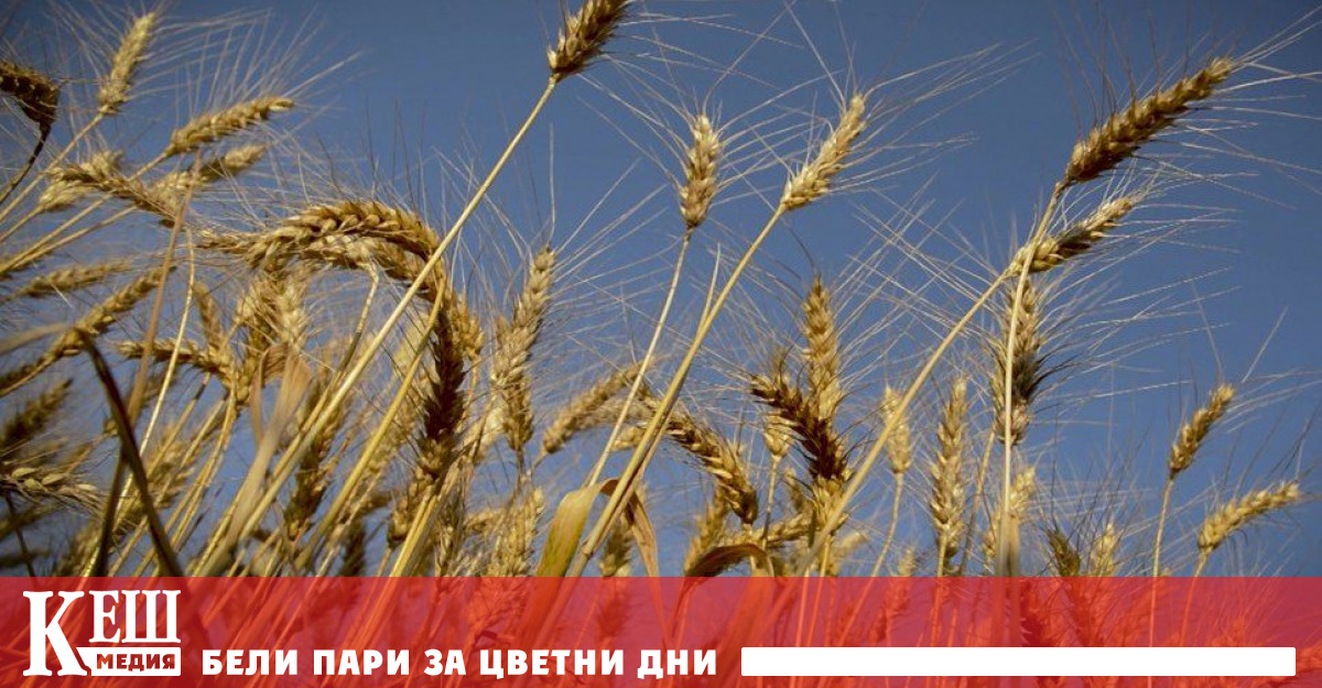 Трябва да отворим тези пристанища за да може храната да