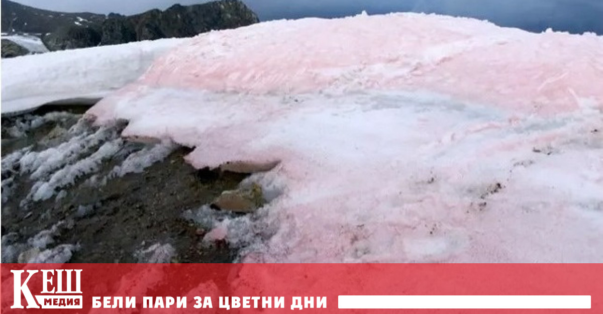 Сняг с розов цвят може да се види например в