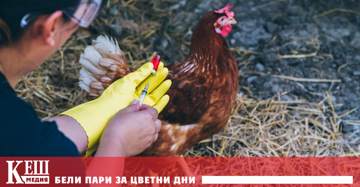 Светкавичното разпореждане за изтеглянето на подозрителните храни накара служителите и