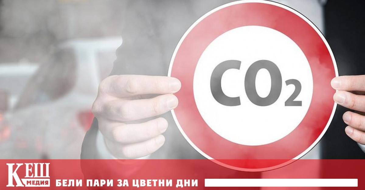 С решението си Съдът установява че България е извършила нарушение