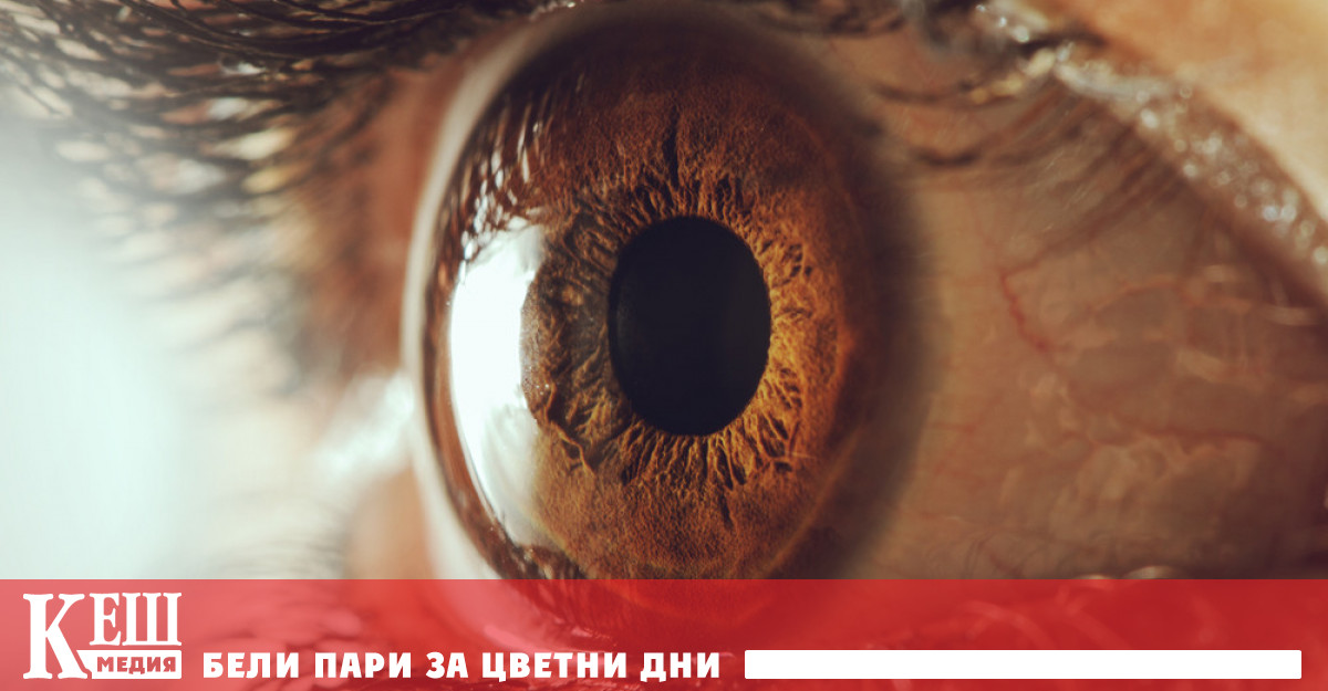 Загубата на нервната активност е част от смъртта – факт