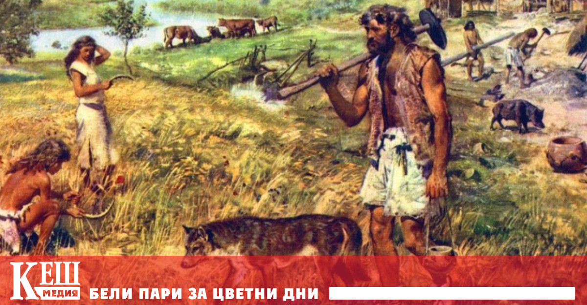 Целта била да се установи кога и как в различните