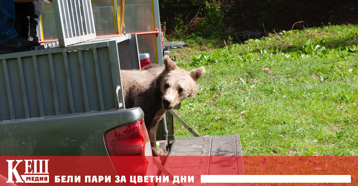 Фондация Четири лапи Министерството на околната среда и водите и