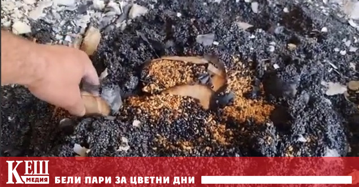 Пред Тhe Insider той казва че в растителната банка никога