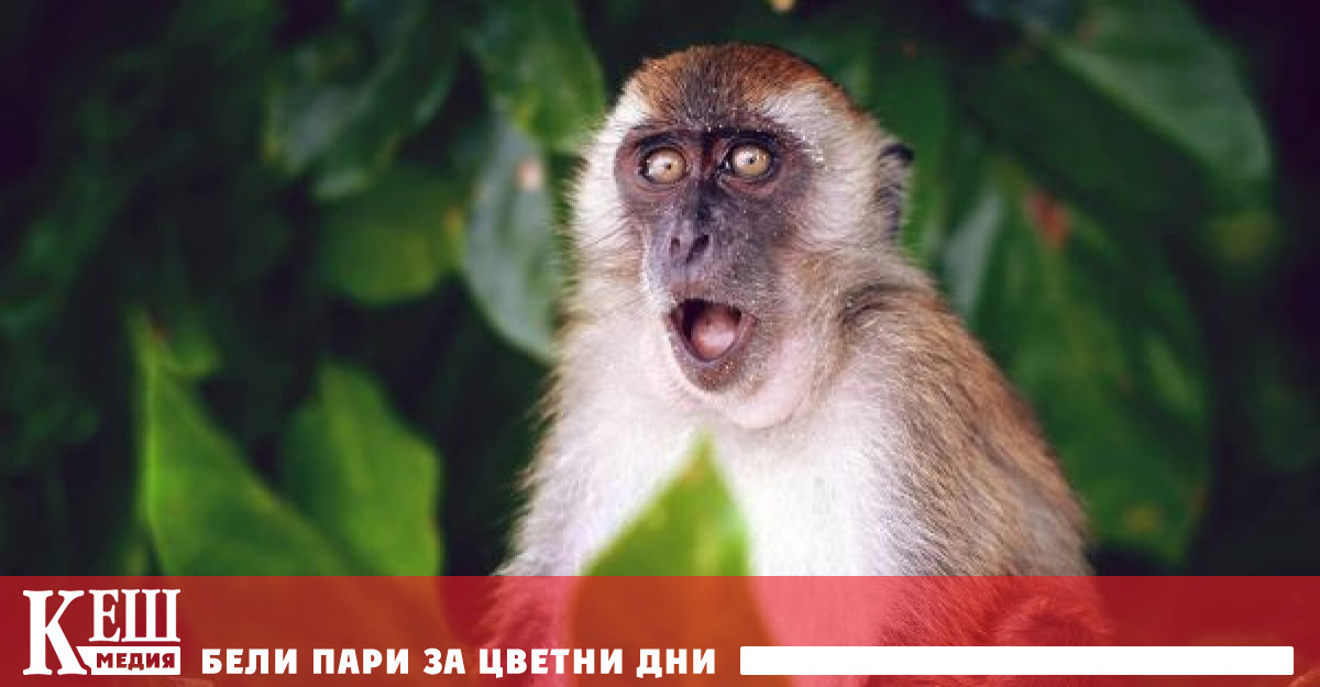 И пак – каква болест откъде се взе само въпроси