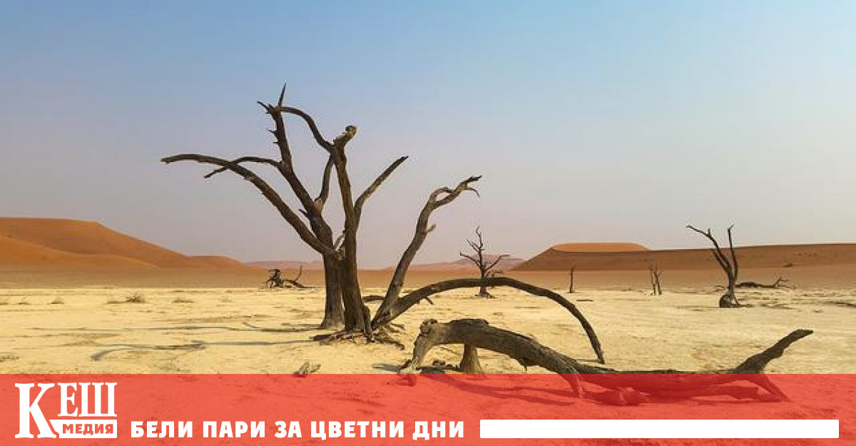 Амбицията е да се превърнем в индустриален инкубатор за синтетично