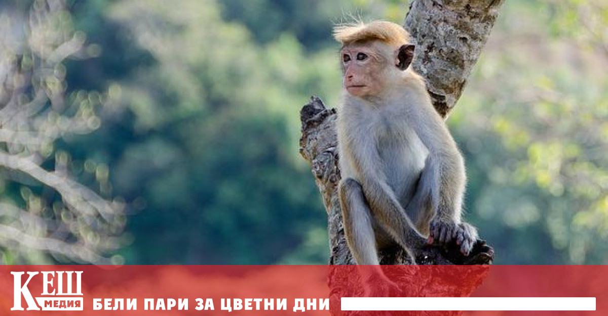 Както се знае болестта има доста дълъг инкубационен период В