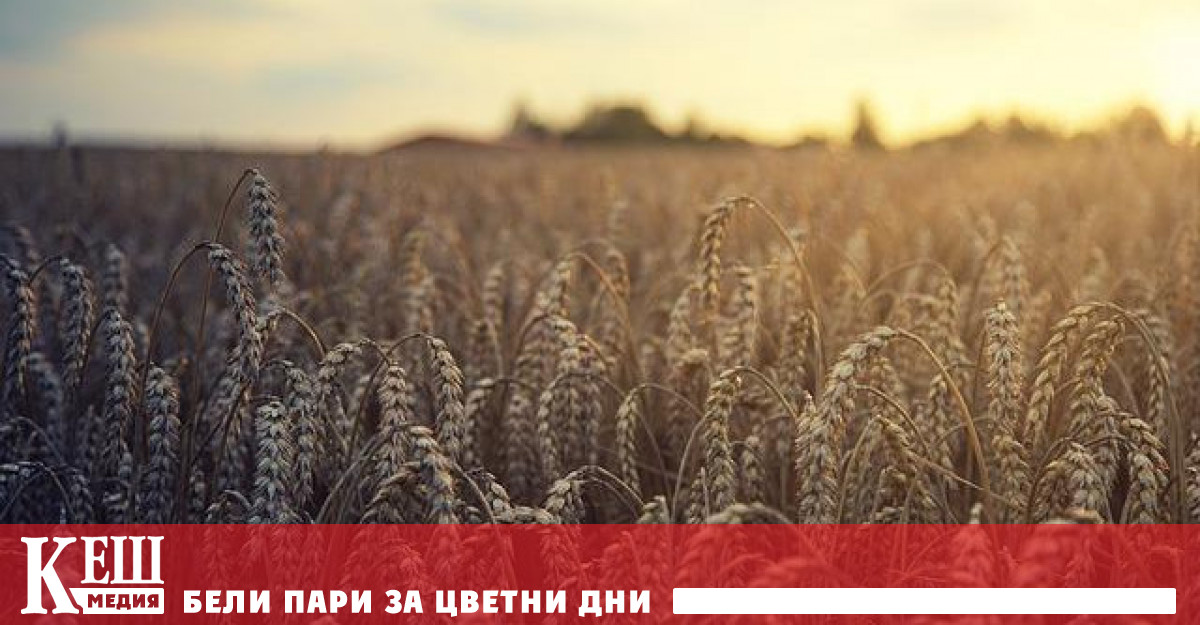 В Токио на срещата на върха на Четиристранния диалог за