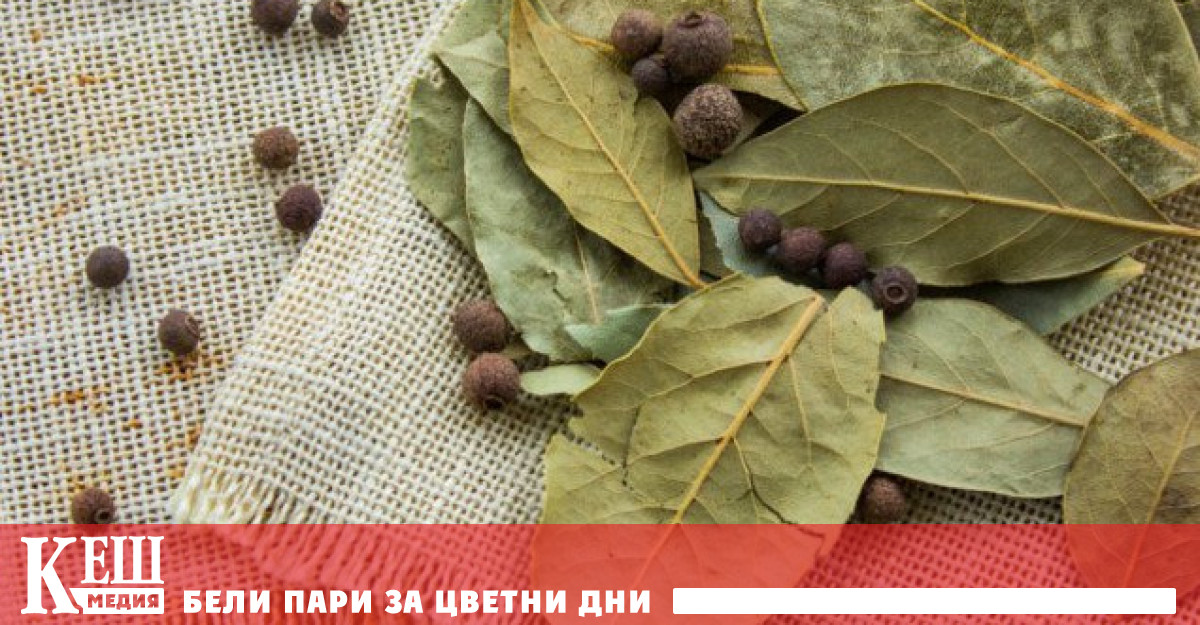 Но скромните сивозелени листа които прибавяме в задушеното могат да