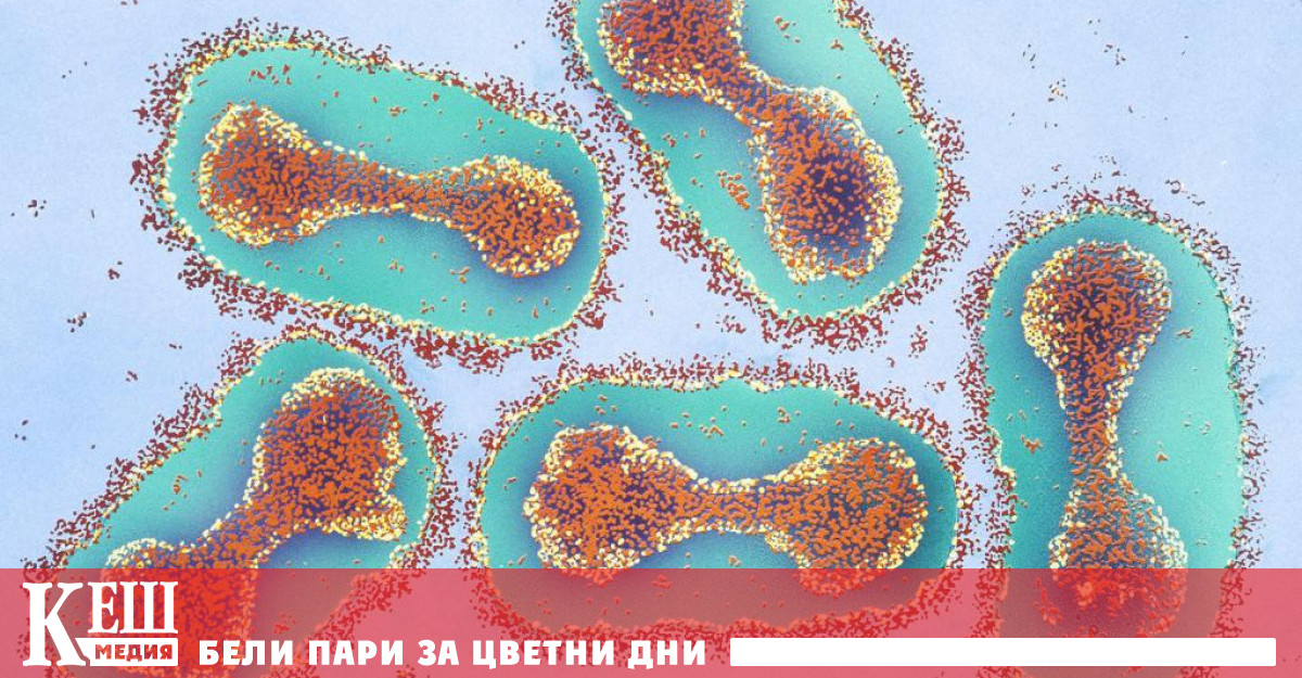 Това обяви Антоан Флао директор на Института за глобално здраве