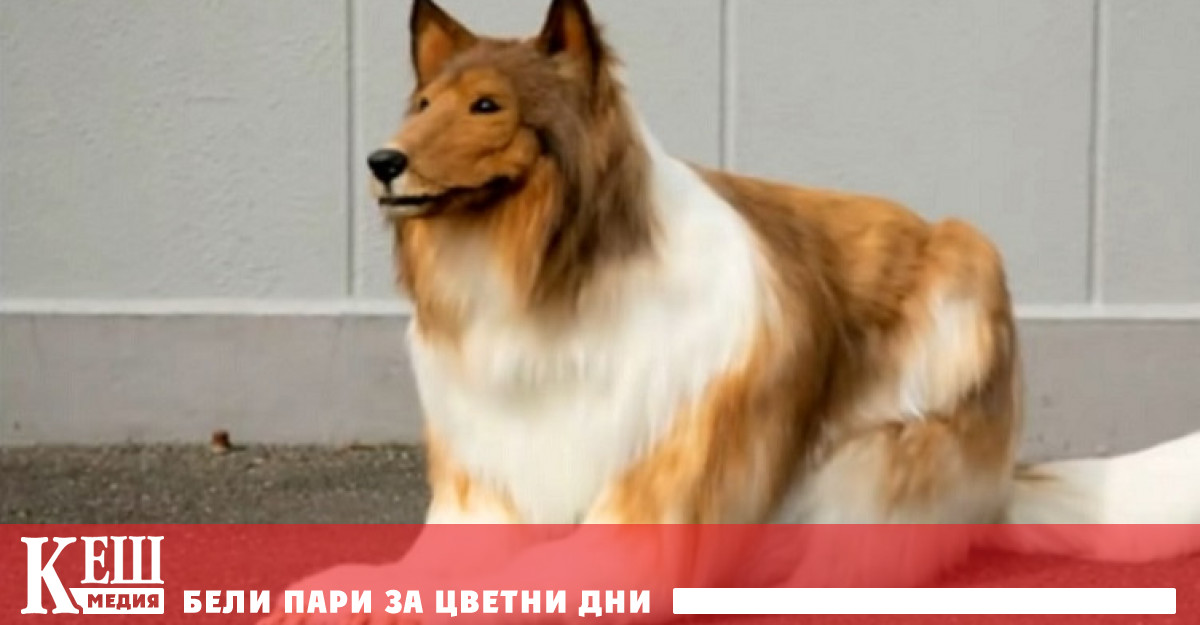 За да сбъдне мечтата си мъжът на име Токо се