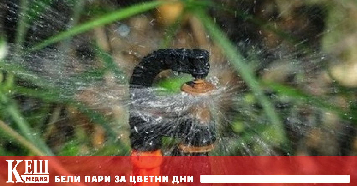 Във поради сушата която възникна в резултат на рекордно горещия