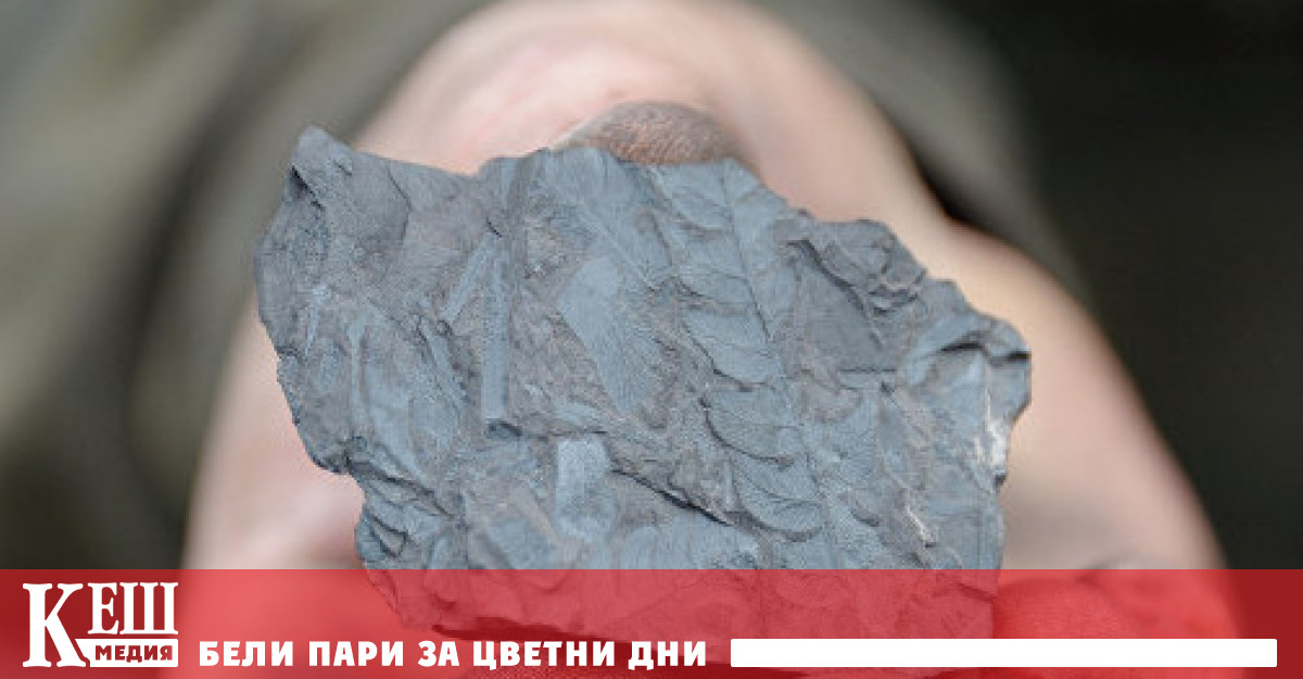 Днес призовавам правителствата на страните от Г 20 да ликвидират въглищната