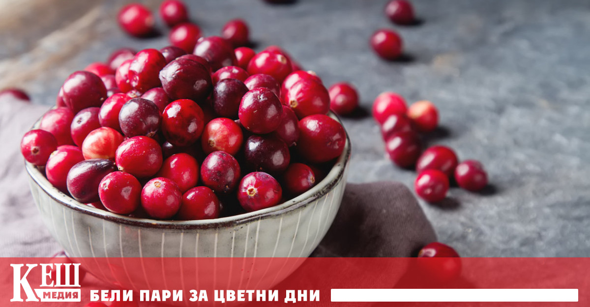 Според Eat This Not That ETNT това заключение са направили