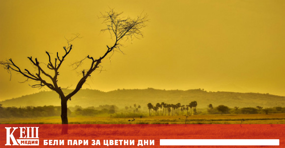 Това пише The Guardian позовавайки на палеонтолога Стив Брусате от