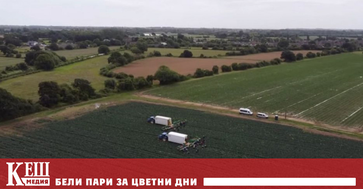 Сигурно загубихме около 15 20 от тазгодишната реколта – около 150