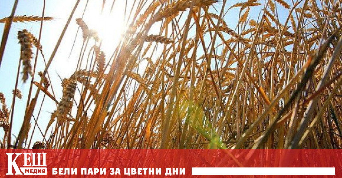 Това заяви в интервю за вестник Handelsblatt комисарят на германското