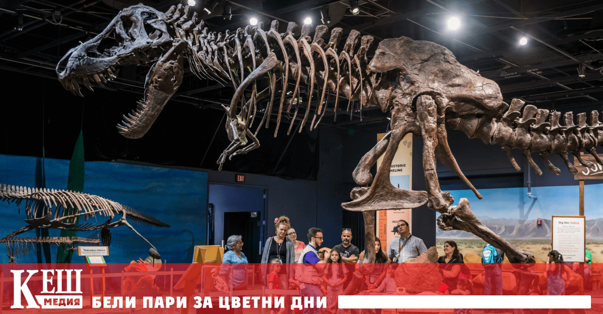 Палеонтолозите се опасяваха че вкаменелостите на гигантския земен обитател датиращи