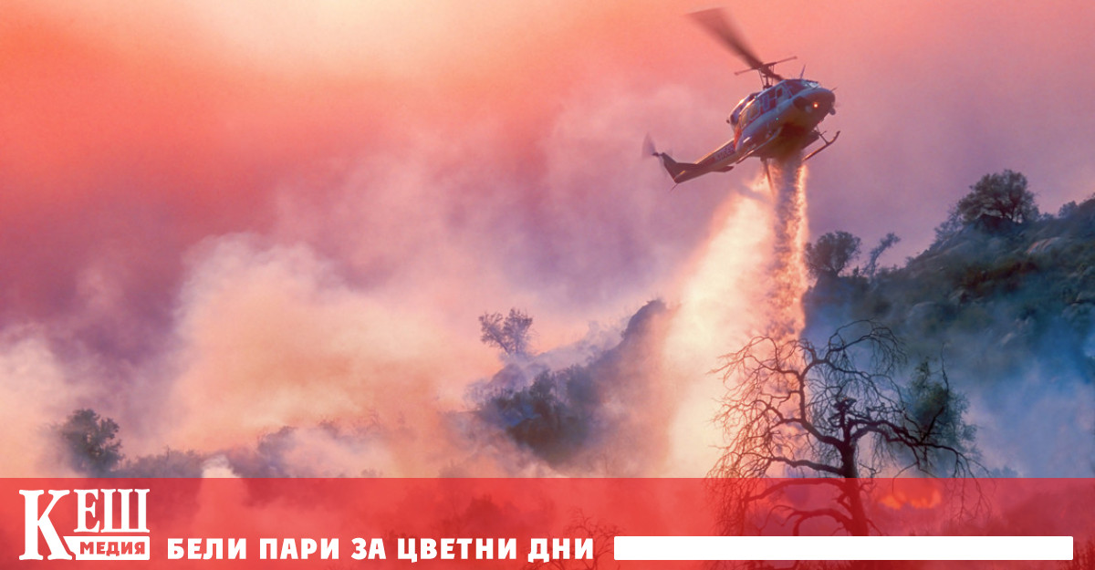 Високите летни температури на ранното лято разпалиха в петък горски