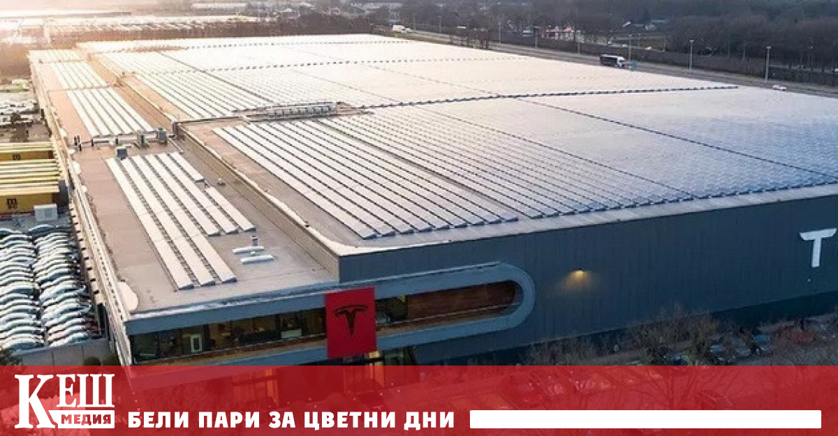 Ръководителят на компанията Илон Мъск потвърди уволнението на служителите и